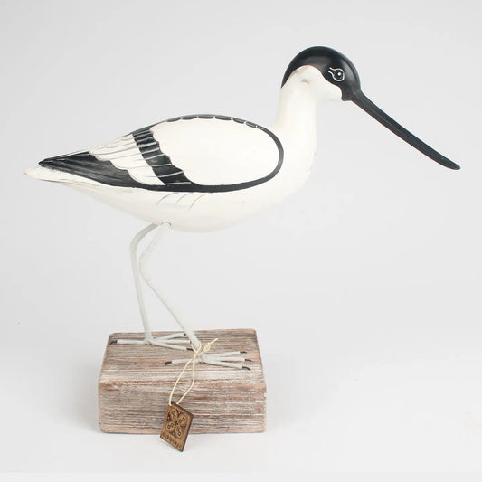 Avocet Walking