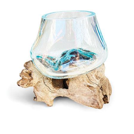 Root with glass bowl: Tiny - The Coast Office