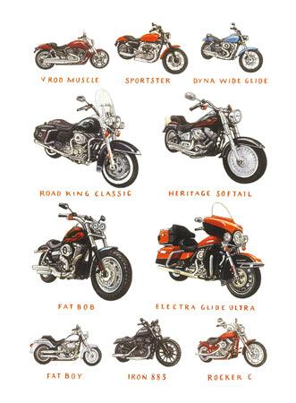 Harley Davidsons (Blank Inside) - The Coast Office