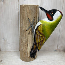 Charger l&#39;image dans la galerie, Green Woodpecker on Driftwood - The Coast Office
