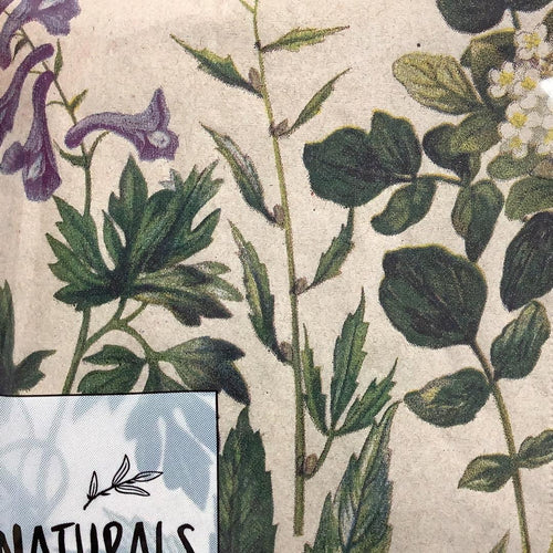 Botanical Pattern 33cm Napkins - The Coast Office