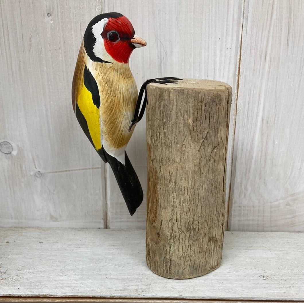 Goldfinch Pecking - The Coast Office