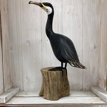 Afbeelding in Gallery-weergave laden, Cormorant - The Coast Office
