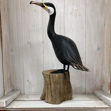 Load image into Gallery viewer, Cormorant - The Coast Office
