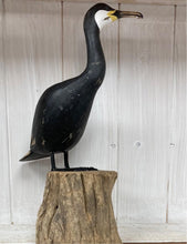 Afbeelding in Gallery-weergave laden, Cormorant - The Coast Office
