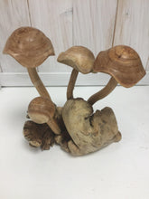 Cargar imagen en el visor de la galería, Curly Cap Mushrooms - The Coast Office
