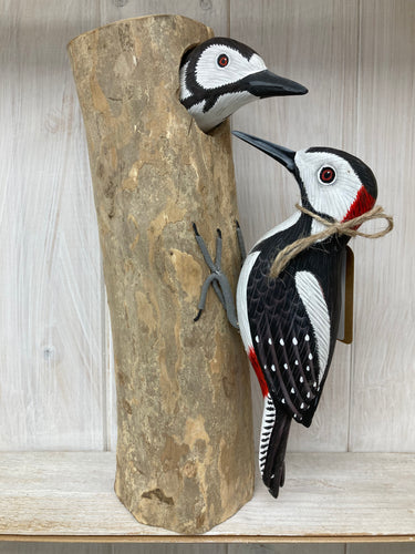 2 Spotted Woodpeckers - The Coast Office
