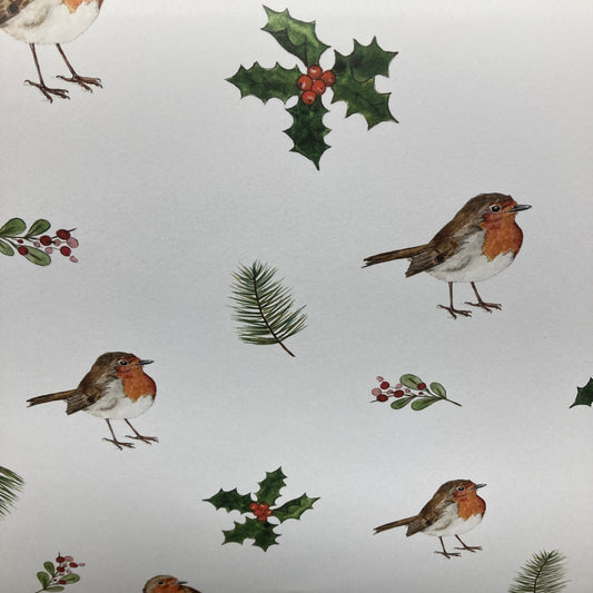 Recycled Christmas Paper Sheet - The Coast Office