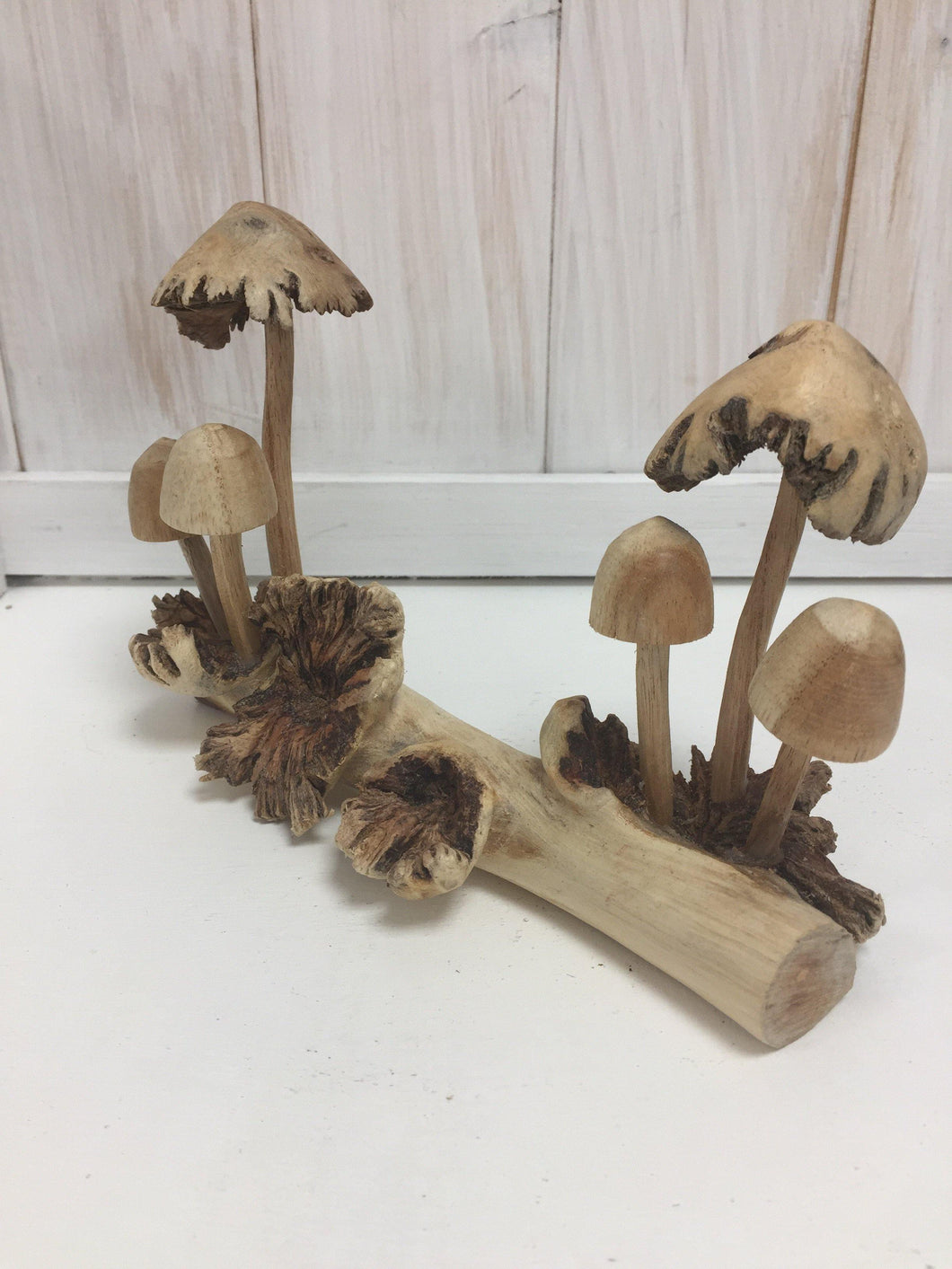6 Mushrooms on a Log - The Coast Office