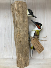 Load image into Gallery viewer, Green Woodpeckers - The Coast Office
