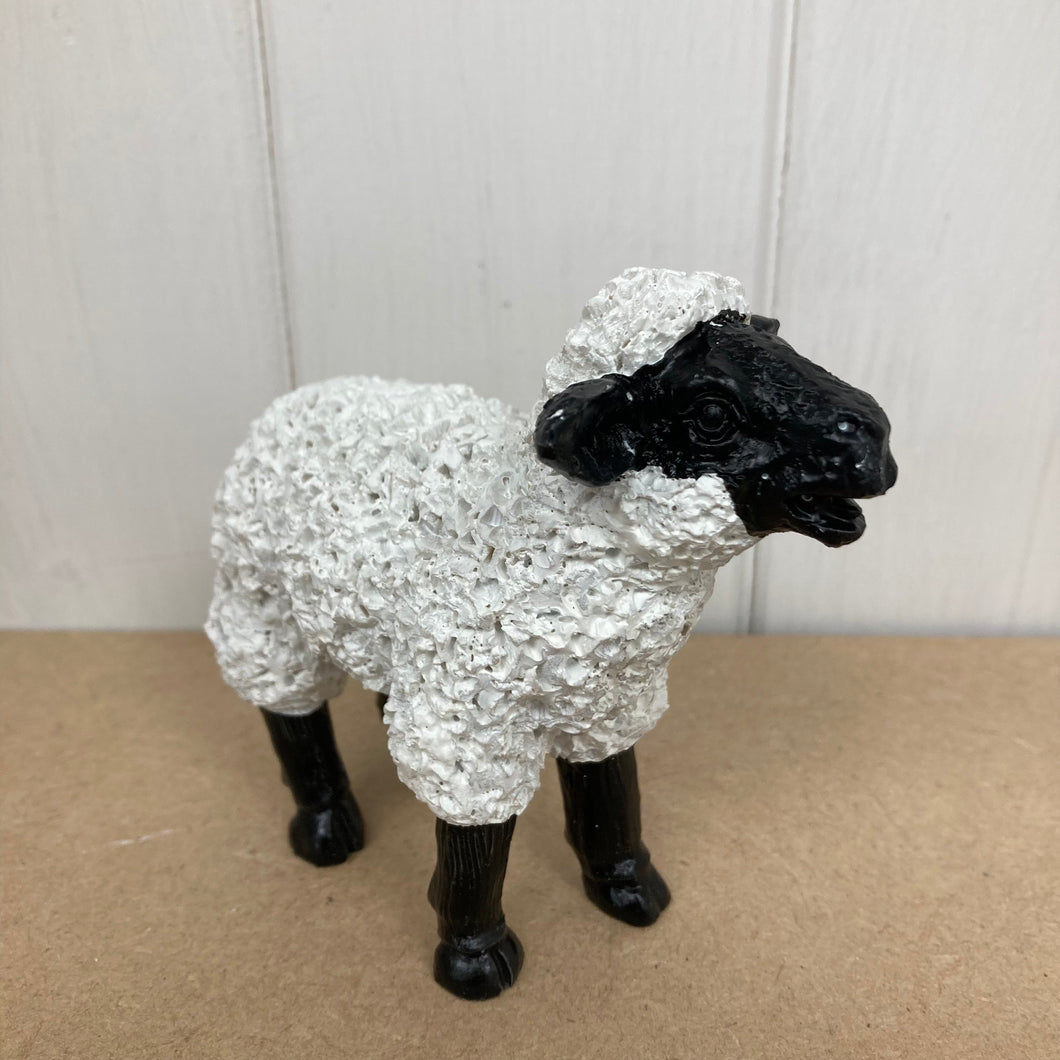 Miniatuur zwart-witte schapen