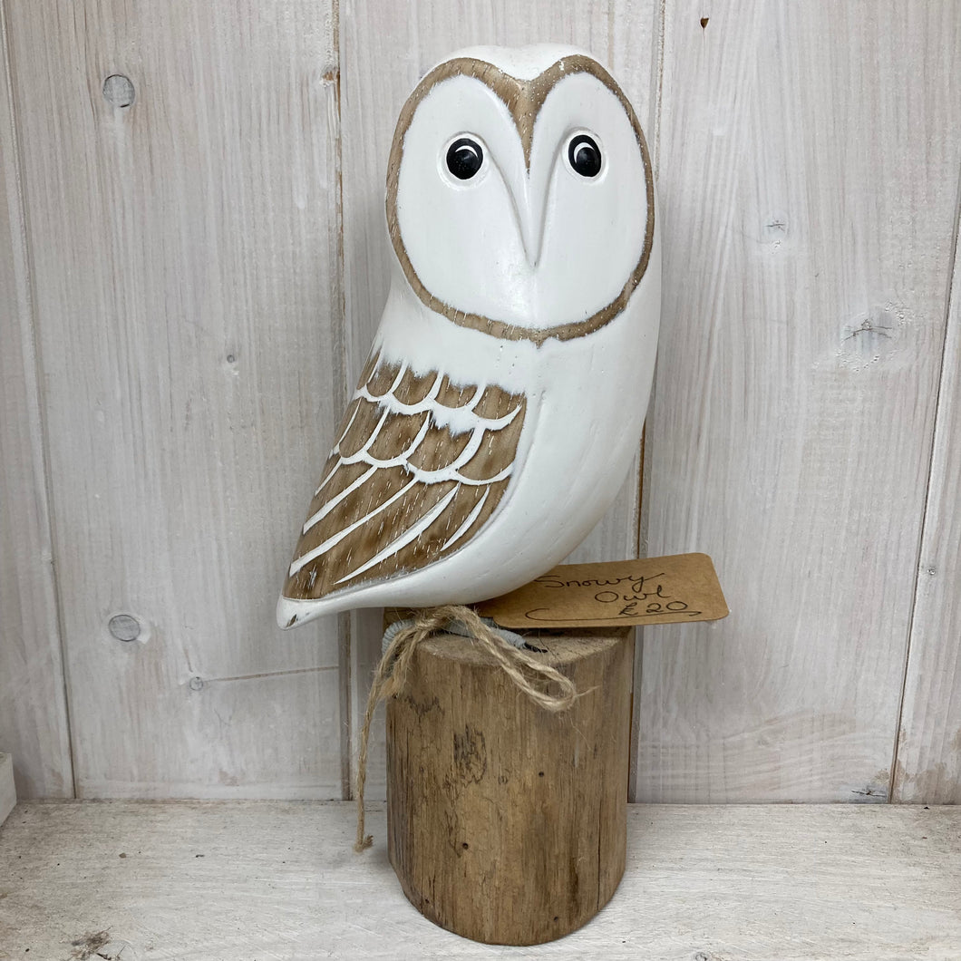 Snow Owl - The Coast Office