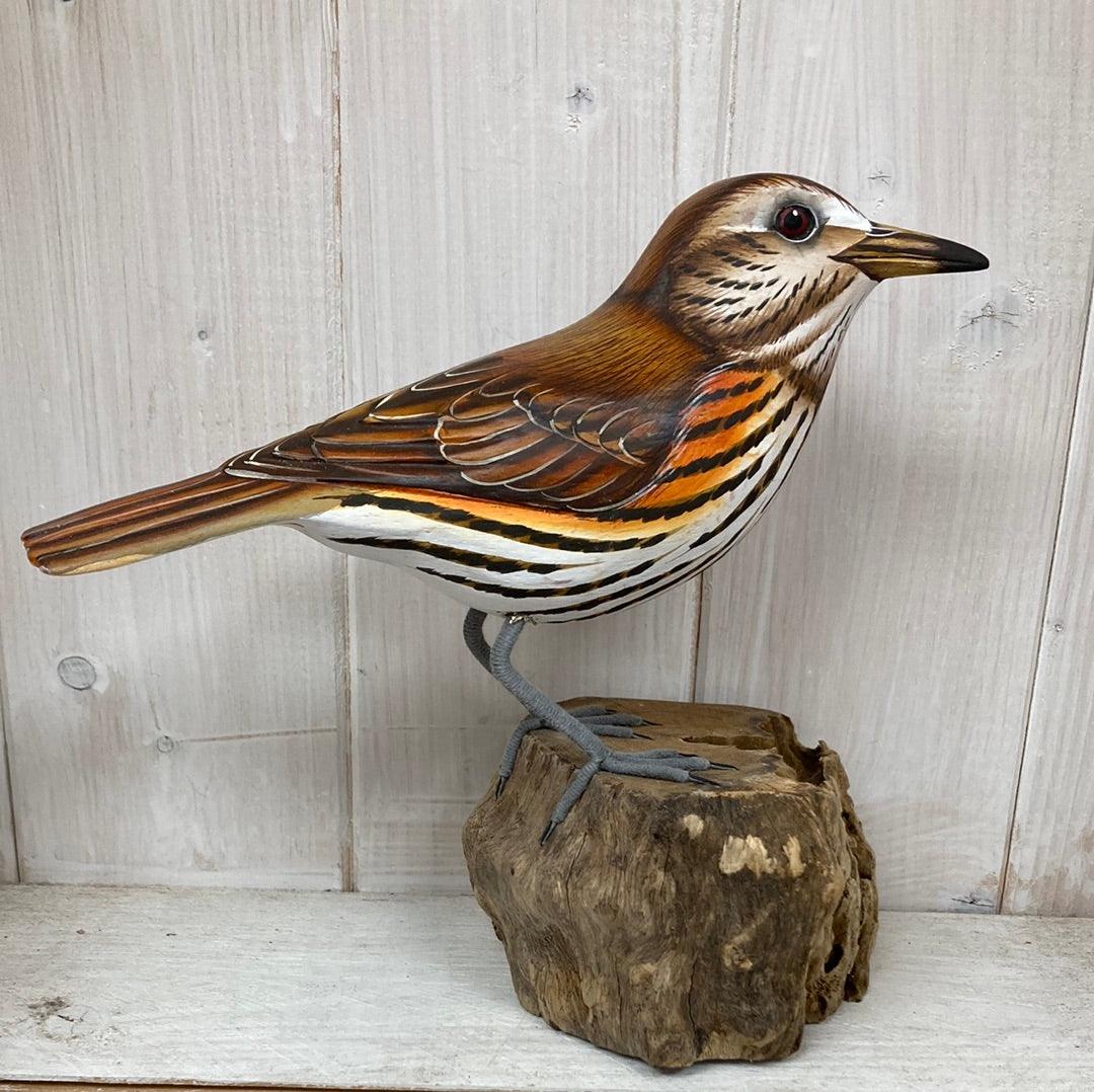 Red Wing - The Coast Office