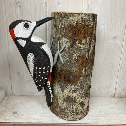 Spotted Woodpecker - The Coast Office