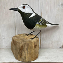 Load image into Gallery viewer, Pied Wagtail - The Coast Office
