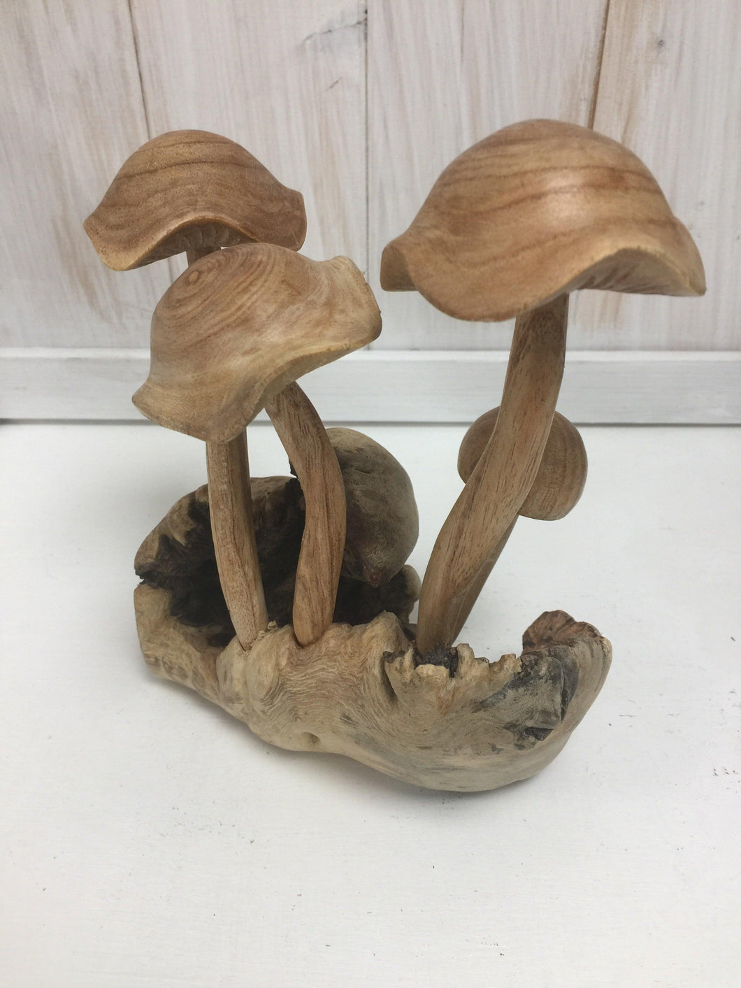 Curly Cap Mushrooms - The Coast Office