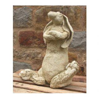 Hare with Attitude - The Coast Office