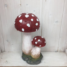 Load image into Gallery viewer, Amanita Toadstool - The Coast Office
