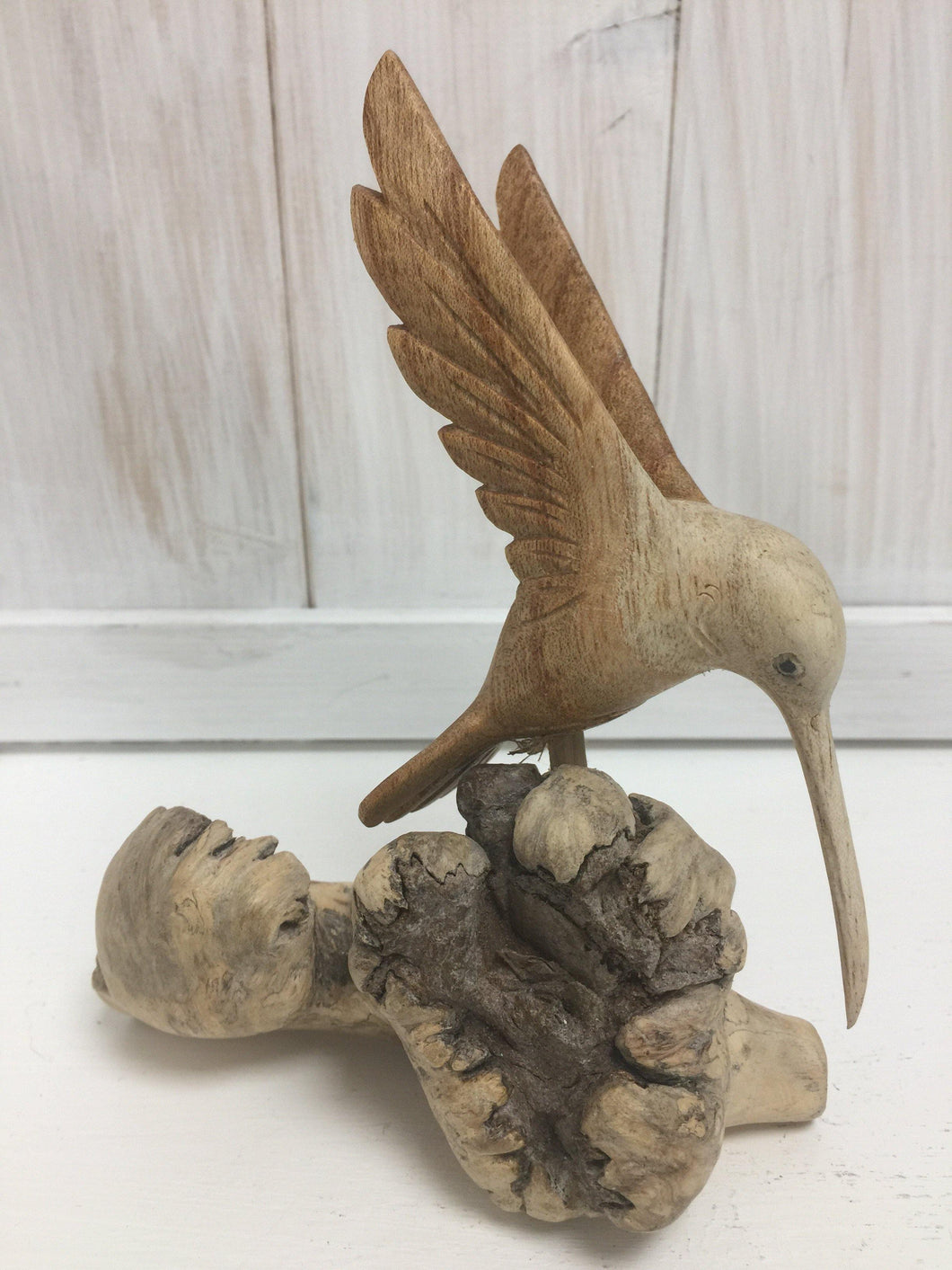 Hummingbird on Mushroom - The Coast Office