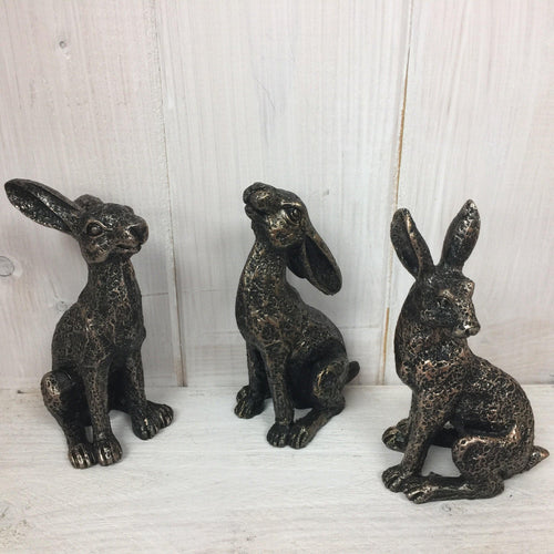 Miniature Hares - The Coast Office
