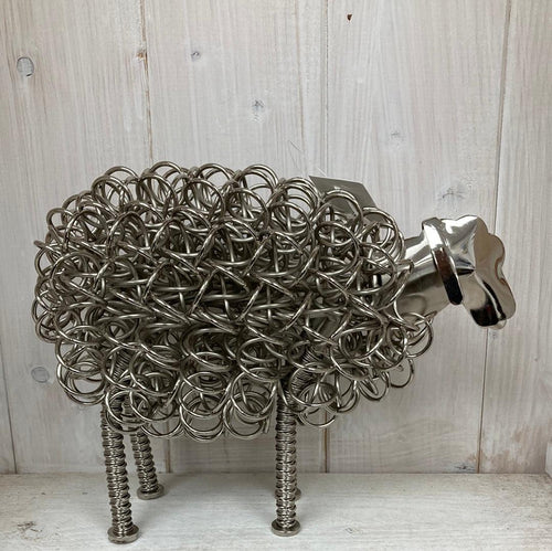 Wiggle Sheep - The Coast Office