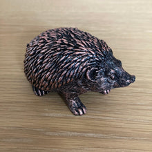 Load image into Gallery viewer, Miniature Hedgehogs - The Coast Office
