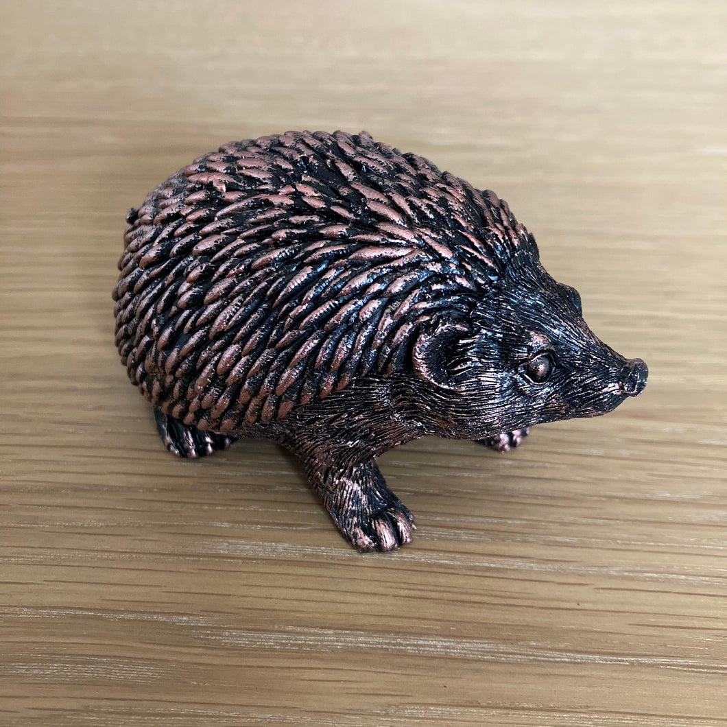 Miniature Hedgehogs - The Coast Office