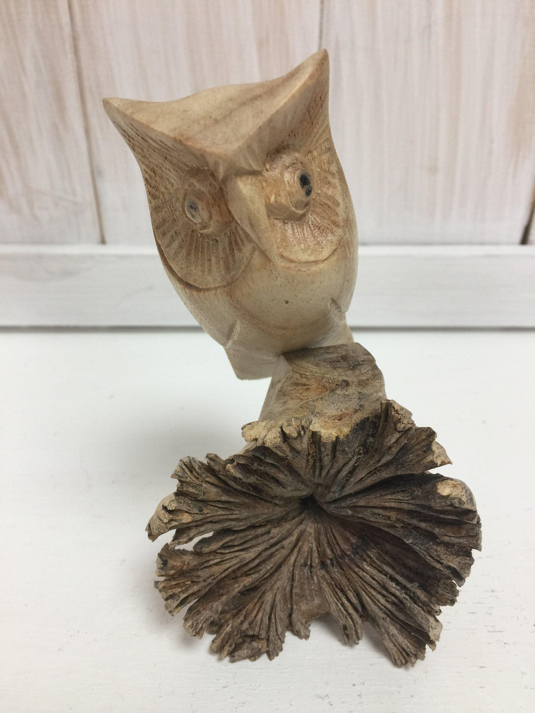 Single Owl on a Mushroom - The Coast Office