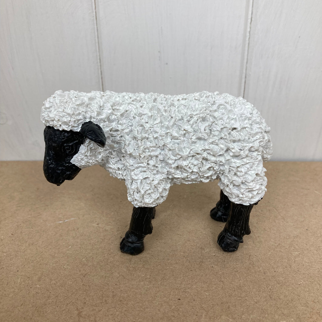 Miniatuur zwart-witte schapen