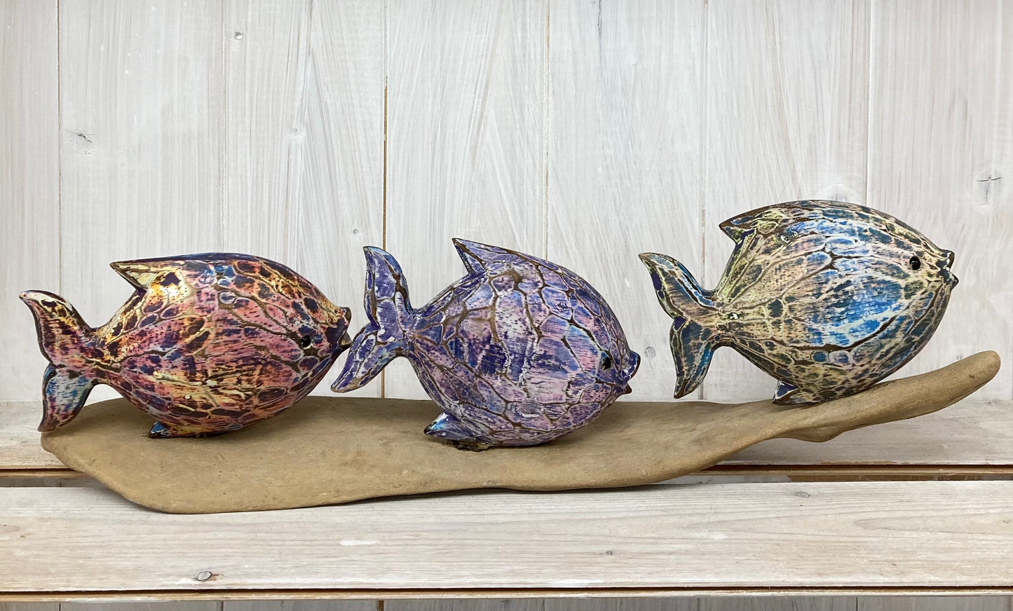 Swimming Driftwood Fish(3) - The Coast Office