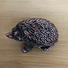 Charger l&#39;image dans la galerie, Miniature Hedgehogs - The Coast Office
