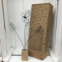Afbeelding in Gallery-weergave laden, Lelie, blad en kronkeldraadbloei (zwart)
