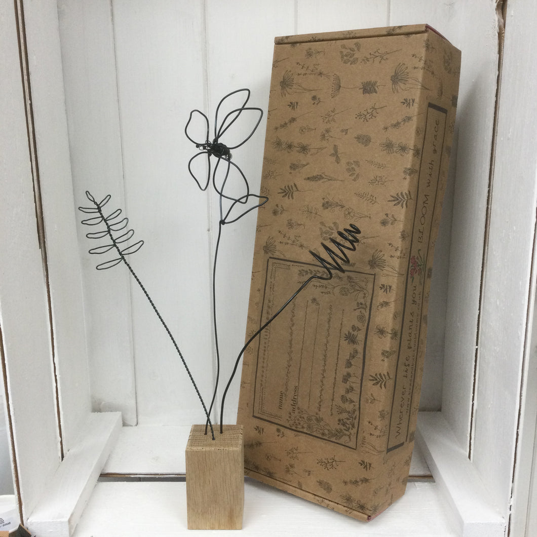 Lelie, blad en kronkeldraadbloei (zwart)