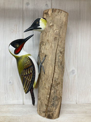 Green Woodpeckers - The Coast Office