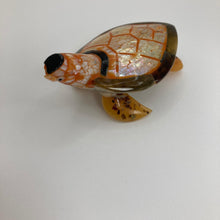 Afbeelding in Gallery-weergave laden, Shell Turtle: Various colours - The Coast Office
