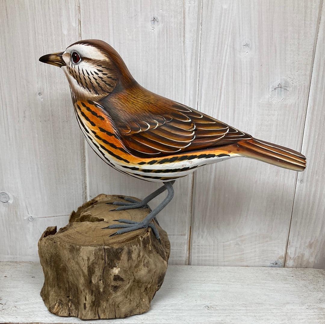 Red Wing - The Coast Office