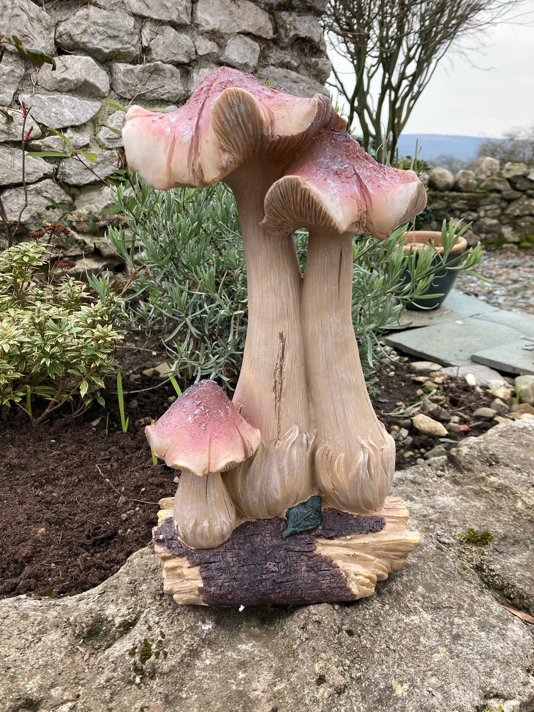 Fairy Garden Fungi - The Coast Office