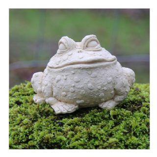 Freddy Toad - The Coast Office