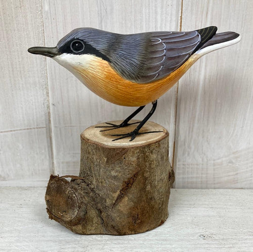 Nuthatch - The Coast Office