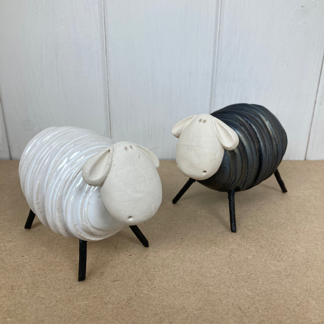 Sheared Sheep