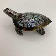 Afbeelding in Gallery-weergave laden, Shell Turtle: Various colours - The Coast Office
