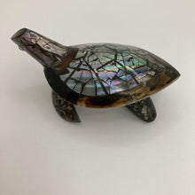 Charger l&#39;image dans la galerie, Shell Turtle: Various colours - The Coast Office
