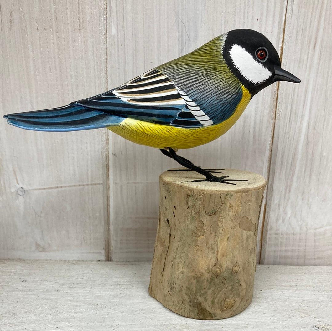 Great Tit - The Coast Office