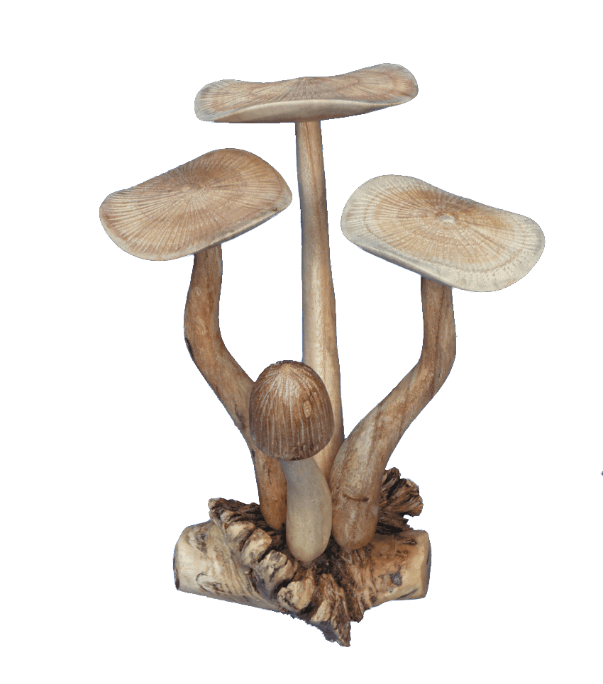 Set of 4 parasite Mushrooms - The Coast Office