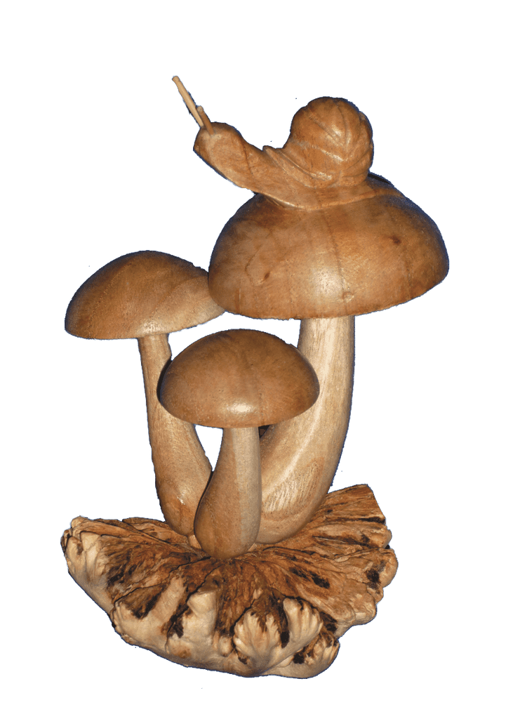 Carved Snail on Mushrooms - The Coast Office